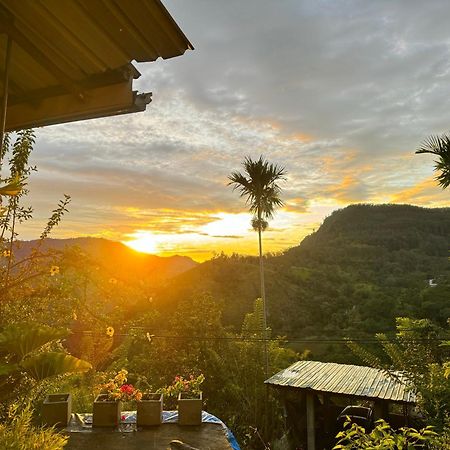 Rock View Cottage エッラ エクステリア 写真