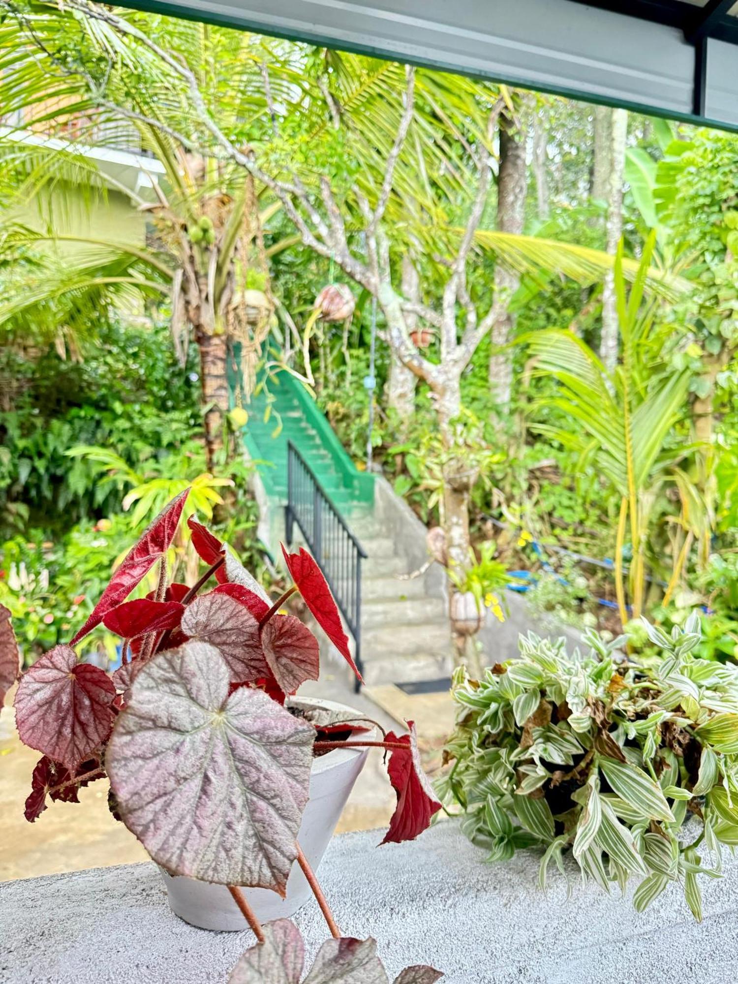Rock View Cottage エッラ エクステリア 写真